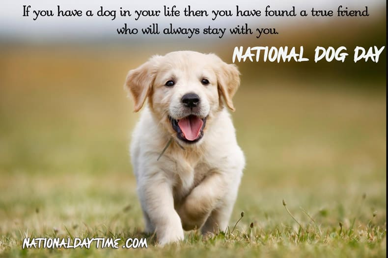 National Dog Day Wishes Messages Images 2023