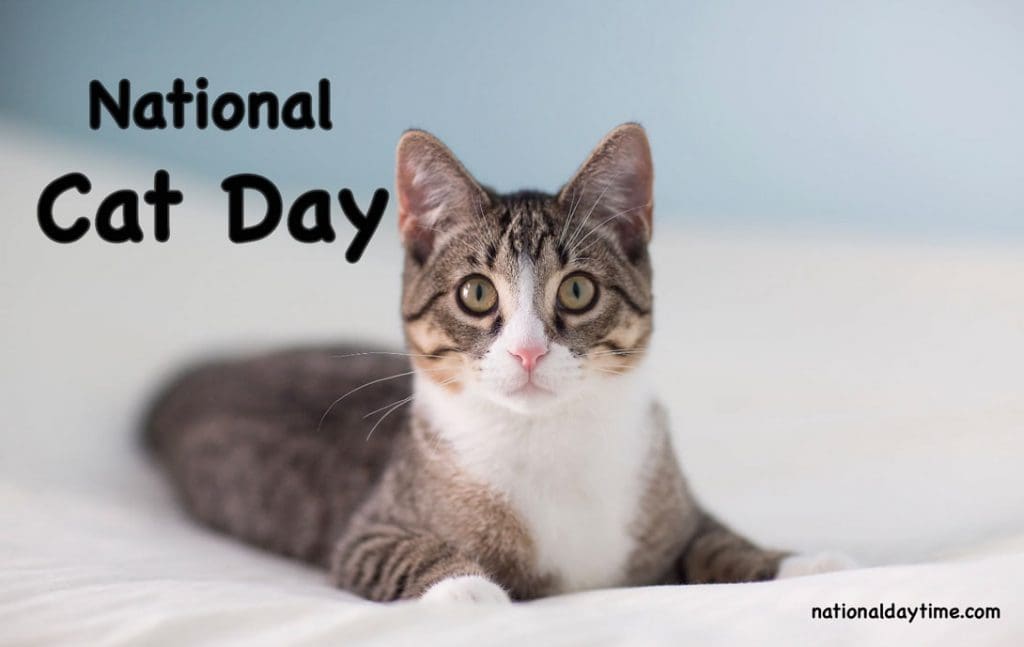 National Cat Day Image 2023